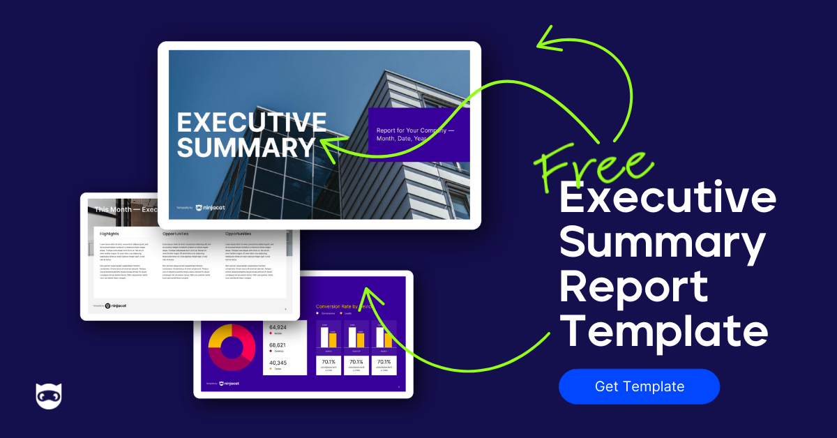 executive-summary-report-example-executive-report-template